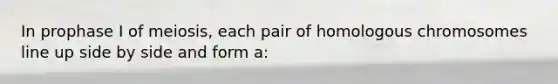 In prophase I of meiosis, each pair of homologous chromosomes line up side by side and form a: