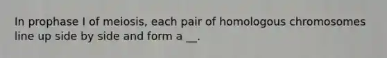 In prophase I of meiosis, each pair of homologous chromosomes line up side by side and form a __.