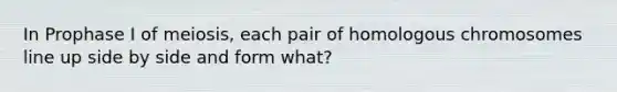 In Prophase I of meiosis, each pair of homologous chromosomes line up side by side and form what?
