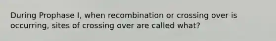 During Prophase I, when recombination or crossing over is occurring, sites of crossing over are called what?