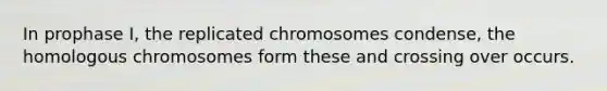 In prophase I, the replicated chromosomes condense, the homologous chromosomes form these and crossing over occurs.