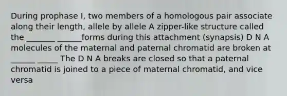 During prophase I, two members of a homologous pair associate along their length, allele by allele A zipper-like structure called the _______ ______forms during this attachment (synapsis) D N A molecules of the maternal and paternal chromatid are broken at ______ _____ The D N A breaks are closed so that a paternal chromatid is joined to a piece of maternal chromatid, and vice versa