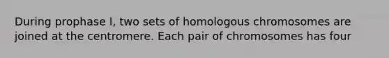 During prophase I, two sets of homologous chromosomes are joined at the centromere. Each pair of chromosomes has four