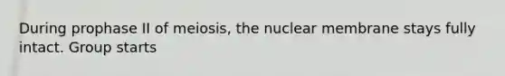 During prophase II of meiosis, the nuclear membrane stays fully intact. Group starts