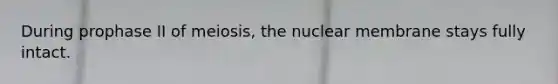 During prophase II of meiosis, the nuclear membrane stays fully intact.