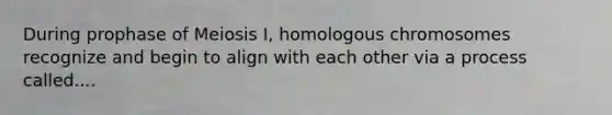 During prophase of Meiosis I, homologous chromosomes recognize and begin to align with each other via a process called....