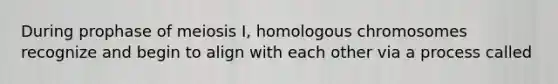 During prophase of meiosis I, homologous chromosomes recognize and begin to align with each other via a process called