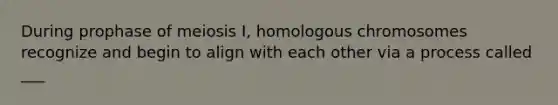 During prophase of meiosis I, homologous chromosomes recognize and begin to align with each other via a process called ___