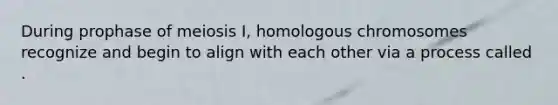 During prophase of meiosis I, homologous chromosomes recognize and begin to align with each other via a process called .