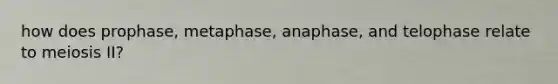 how does prophase, metaphase, anaphase, and telophase relate to meiosis II?