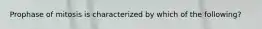 Prophase of mitosis is characterized by which of the following?