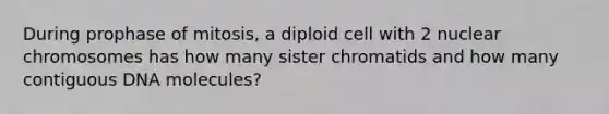 During prophase of mitosis, a diploid cell with 2 nuclear chromosomes has how many sister chromatids and how many contiguous DNA molecules?