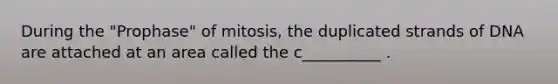 During the "Prophase" of mitosis, the duplicated strands of DNA are attached at an area called the c__________ .