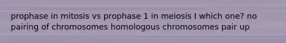 prophase in mitosis vs prophase 1 in meiosis I which one? no pairing of chromosomes homologous chromosomes pair up