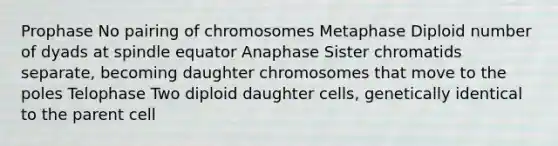 Prophase No pairing of chromosomes Metaphase Diploid number of dyads at spindle equator Anaphase Sister chromatids separate, becoming daughter chromosomes that move to the poles Telophase Two diploid daughter cells, genetically identical to the parent cell