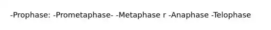 -Prophase: -Prometaphase- -Metaphase r -Anaphase -Telophase