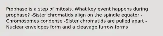 Prophase is a step of mitosis. What key event happens during prophase? -Sister chromatids align on the spindle equator -Chromosomes condense -Sister chromatids are pulled apart -Nuclear envelopes form and a cleavage furrow forms