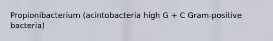 Propionibacterium (acintobacteria high G + C Gram-positive bacteria)