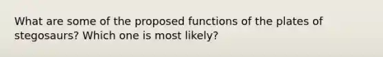 What are some of the proposed functions of the plates of stegosaurs? Which one is most likely?