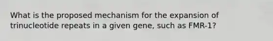 What is the proposed mechanism for the expansion of trinucleotide repeats in a given gene, such as FMR-1?