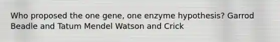 Who proposed the one gene, one enzyme hypothesis? Garrod Beadle and Tatum Mendel Watson and Crick