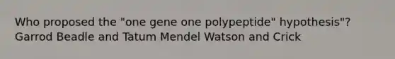 Who proposed the "one gene one polypeptide" hypothesis"? Garrod Beadle and Tatum Mendel Watson and Crick