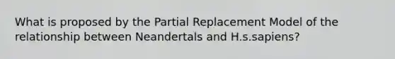 What is proposed by the Partial Replacement Model of the relationship between Neandertals and H.s.sapiens?