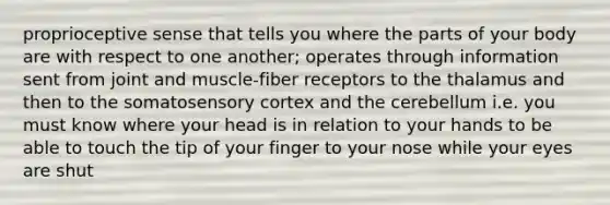 proprioceptive sense that tells you where the parts of your body are with respect to one another; operates through information sent from joint and muscle-fiber receptors to the thalamus and then to the somatosensory cortex and the cerebellum i.e. you must know where your head is in relation to your hands to be able to touch the tip of your finger to your nose while your eyes are shut