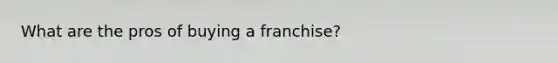 What are the pros of buying a franchise?