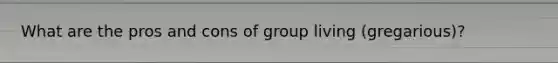 What are the pros and cons of group living (gregarious)?