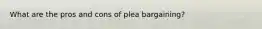 What are the pros and cons of plea bargaining?