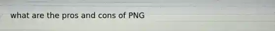 what are the pros and cons of PNG