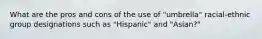 What are the pros and cons of the use of "umbrella" racial-ethnic group designations such as "Hispanic" and "Asian?"