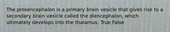 The prosencephalon is a primary brain vesicle that gives rise to a secondary brain vesicle called the diencephalon, which ultimately develops into the thalamus. True False