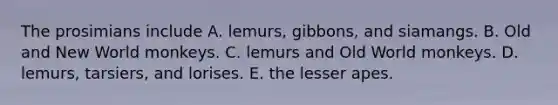 The prosimians include A. lemurs, gibbons, and siamangs. B. Old and New World monkeys. C. lemurs and Old World monkeys. D. lemurs, tarsiers, and lorises. E. the lesser apes.