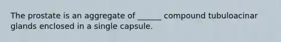 The prostate is an aggregate of ______ compound tubuloacinar glands enclosed in a single capsule.