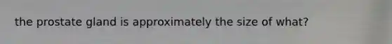 the prostate gland is approximately the size of what?