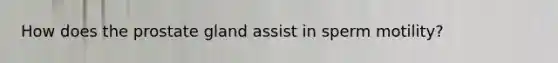 How does the prostate gland assist in sperm motility?