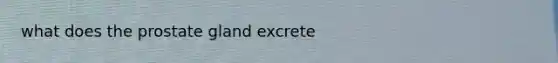 what does the prostate gland excrete