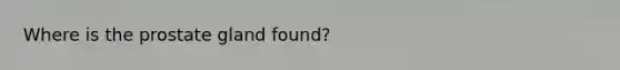 Where is the prostate gland found?