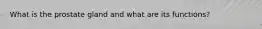 What is the prostate gland and what are its functions?