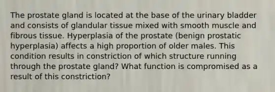 The prostate gland is located at the base of the urinary bladder and consists of glandular tissue mixed with smooth muscle and fibrous tissue. Hyperplasia of the prostate (benign prostatic hyperplasia) affects a high proportion of older males. This condition results in constriction of which structure running through the prostate gland? What function is compromised as a result of this constriction?