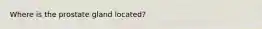 Where is the prostate gland located?