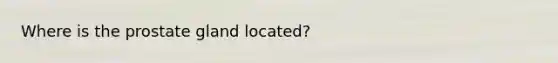 Where is the prostate gland located?