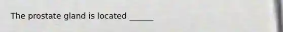 The prostate gland is located​ ______