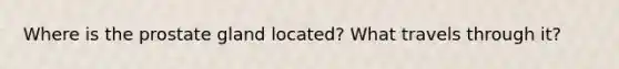 Where is the prostate gland located? What travels through it?