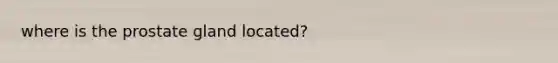 where is the prostate gland located?