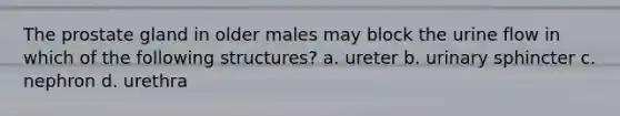 The prostate gland in older males may block the urine flow in which of the follo<a href='https://www.questionai.com/knowledge/k0difKoW8F-wing-structures' class='anchor-knowledge'>wing structures</a>? a. ureter b. urinary sphincter c. nephron d. urethra