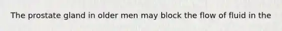 The prostate gland in older men may block the flow of fluid in the