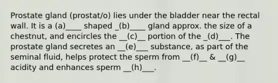 Prostate gland (prostat/o) lies under the bladder near the rectal wall. It is a (a)____ shaped _(b)____ gland approx. the size of a chestnut, and encircles the __(c)__ portion of the _(d)___. The prostate gland secretes an __(e)___ substance, as part of the seminal fluid, helps protect the sperm from __(f)__ & __(g)__ acidity and enhances sperm __(h)___.